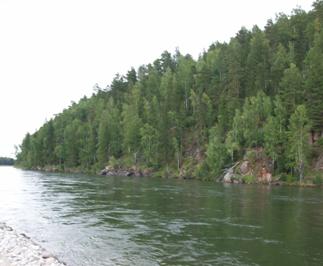 Природа родного края