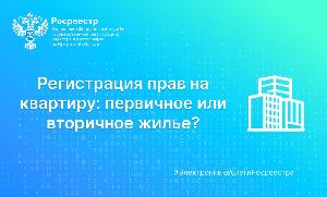 Регистрация прав на квартиру: первичное или вторичное жилье?
