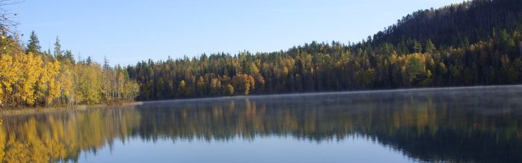 Природа родного края