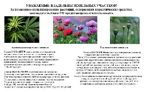 Незаконное культивирование наркосодержащих растений, а также не принятие мер по их уничтожению